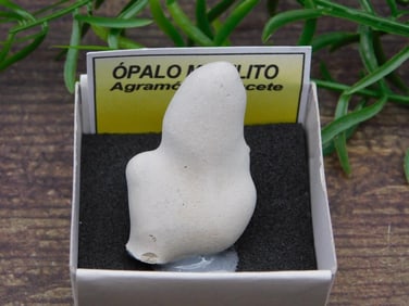 OPAL ROCK STONE LAPIDARY SPECIMEN