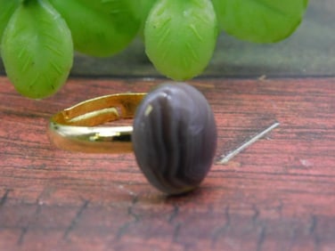 BOTSWANA AGATE RING ROCK STONE LAPIDARY SPECIMEN