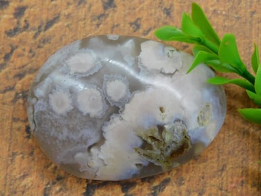 HATMANS FLOWER PETAL AGATE ROCK STONE LAPIDARY SPECIMEN