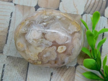 HATMANS FLOWER PETAL AGATE ROCK STONE LAPIDARY SPECIMEN