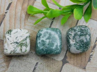 TREE AGATE ROCK STONE LAPIDARY SPECIMEN