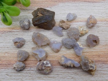 ELLENSBURG AGATE ROCK STONE LAPIDARY SPECIMEN
