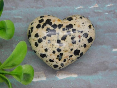 DALMATION JASPER HEART ROCK STONE LAPIDARY SPECIMEN