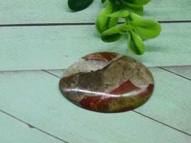 MUSHROOM RHYOLITE CABOCHON ROCK STONE LAPIDARY SPECIMEN