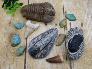 MIXED LOT ROCK STONE LAPIDARY SPECIMEN
