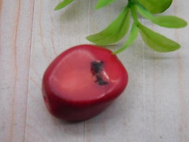 RED CORAL ROCK STONE LAPIDARY SPECIMEN
