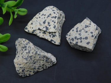 DALMATION JASPER ROCK STONE LAPIDARY SPECIMEN