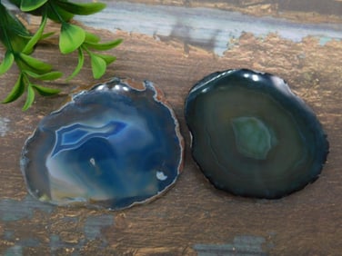AGATE SLICES ROCK STONE LAPIDARY SPECIMEN