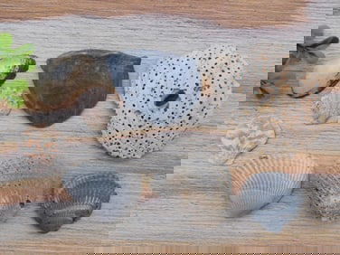 SHELLS