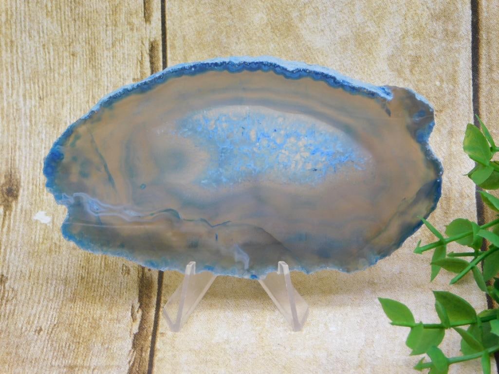 AGATE SLICE ROCK STONE LAPIDARY SPECIMEN: AGATE SLICE ROCK STONE LAPIDARY SPECIMEN