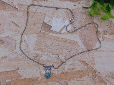 ABALONE OWL NECKLACE ROCK STONE LAPIDARY SPECIMEN