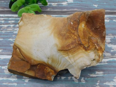 JASPER ROCK STONE LAPIDARY SPECIMEN