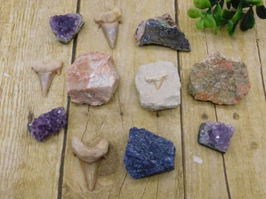 MIXED LOT ROCK STONE LAPIDARY SPECIMEN