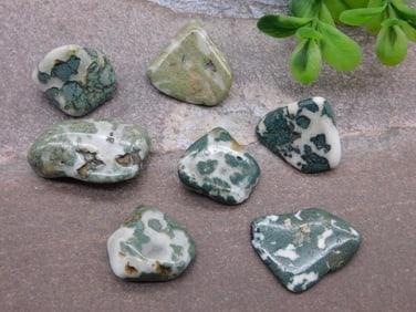 CAMOFLAGE AGATE ROCK STONE LAPIDARY SPECIMEN