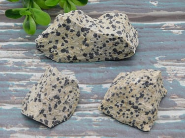 DALMATION JASPER ROCK STONE LAPIDARY SPECIMEN