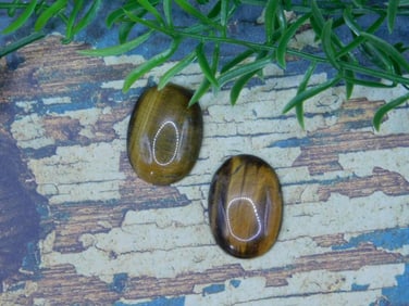 TIGERS EYE CABOCHONS ROCK STONE LAPIDARY SPECIMEN