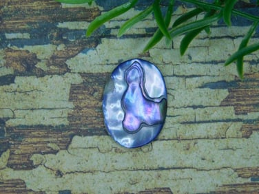 ABALONE CABOCHON ROCK STONE LAPIDARY SPECIMEN