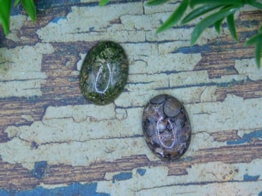 RHYOLITE CABOCHONS ROCK STONE LAPIDARY SPECIMEN