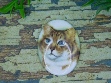 CAT CABOCHON ROCK STONE LAPIDARY SPECIMEN