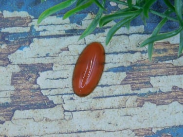 CARNELIAN CABOCHON ROCK STONE LAPIDARY SPECIMEN