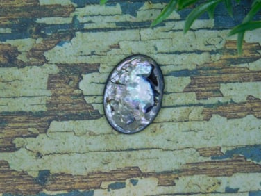 ABALONE CABOCHON ROCK STONE LAPIDARY SPECIMEN