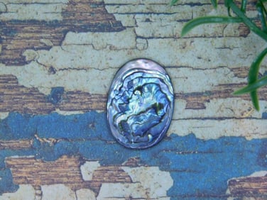 ABALONE CABOCHON ROCK STONE LAPIDARY SPECIMEN