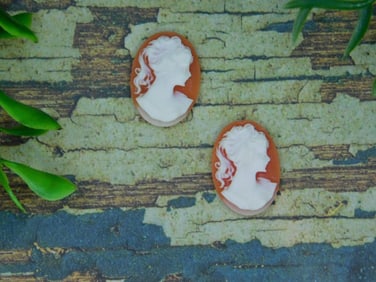 CAMEO CABOCHONS ROCK STONE LAPIDARY SPECIMEN