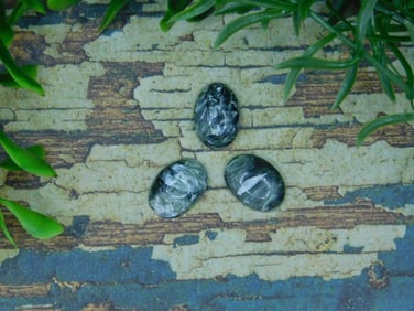 SERAPHINITE CABOCHONS ROCK STONE LAPIDARY SPECIMEN