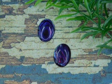 ABALONE CABOCHONS ROCK STONE LAPIDARY SPECIMEN