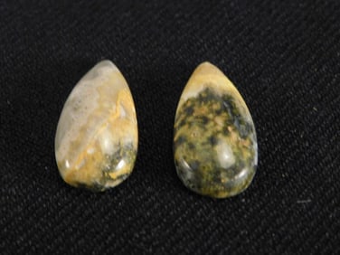 BUMBLEBEE JASPER CABOCHON ROCK STONE LAPIDARY SPECIMEN