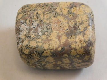 LEOPARD SKIN JASPER ROCK STONE LAPIDARY SPECIMEN