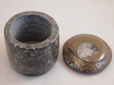 ORTHOCERAS TRINKET BOX ROCK STONE LAPIDARY SPECIMEN