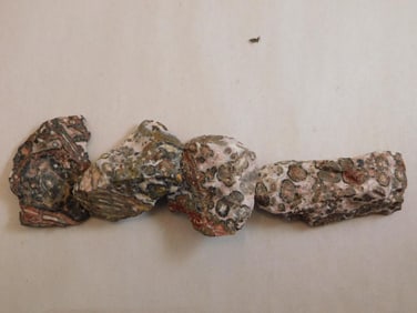 LEOPARD SKIN JASPER ROCK STONE LAPIDARY SPECIMEN