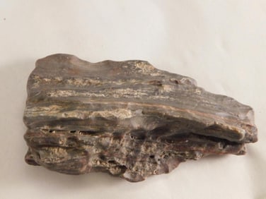 PETRIFIED WOOD ROCK STONE LAPIDARY SPECIMEN