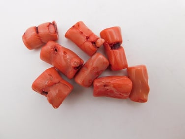 CORAL BEADS ROCK STONE LAPIDARY SPECIMEN
