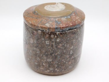 ORTHOCERAS TRINKET BOX ROCK STONE LAPIDARY SPECIMEN
