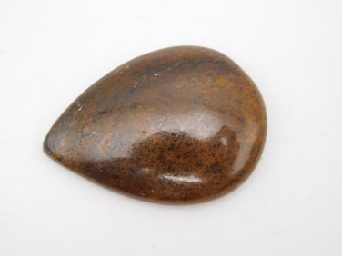 DINOSAUR BONE CABOCHON ROCK STONE LAPIDARY SPECIMEN