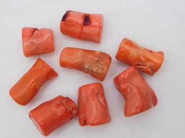 CORAL BEADS ROCK STONE LAPIDARY SPECIMEN