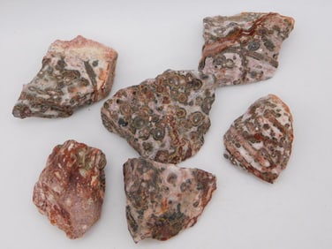LEOPARD SKIN JASPER ROCK STONE LAPIDARY SPECIMEN