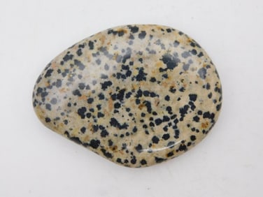 DALMATION JASPER CABOCHON ROCK STONE LAPIDARY SPECIMEN
