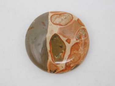FOSSIL BONE CABOCHON ROCK STONE LAPIDARY SPECIMEN