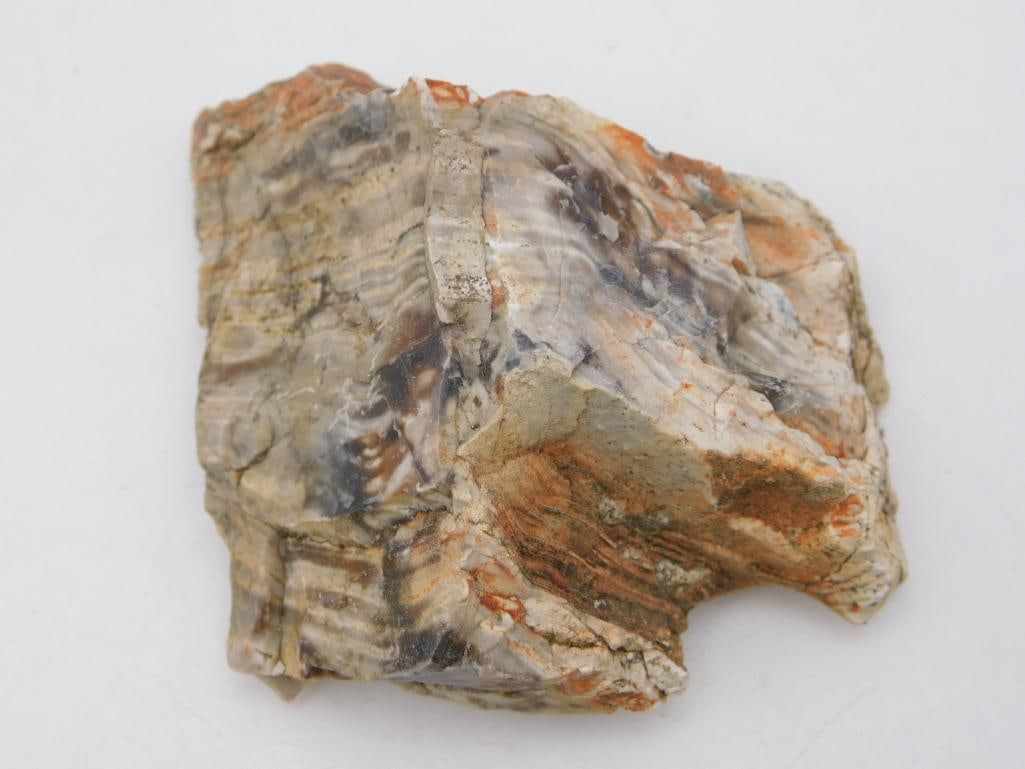 MEXICAN LACE AGATE ROCK STONE LAPIDARY SPECIMEN: MEXICAN LACE AGATE ROCK STONE LAPIDARY SPECIMEN