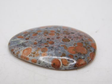 FOSSIL BONE CABOCHON ROCK STONE LAPIDARY SPECIMEN