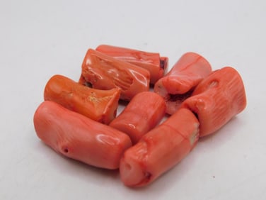 CORAL BEADS ROCK STONE LAPIDARY SPECIMEN
