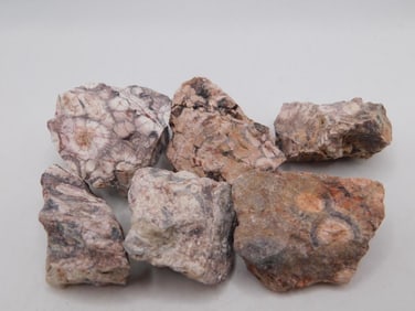 BIRDS EYE RHYOLITE ROCK STONE LAPIDARY SPECIMEN