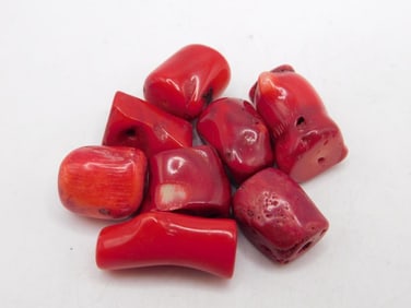 RED CORAL BEADS ROCK STONE LAPIDARY SPECIMEN