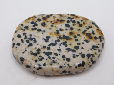 DALMATION JASPER AGATE ROCK STONE LAPIDARY SPECIMEN