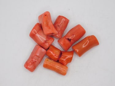 CORAL BEADS ROCK STONE LAPIDARY SPECIMEN