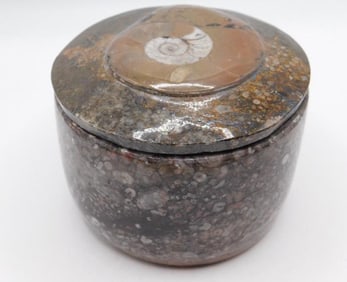 ORTHOCERAS TRINKET BOX ROCK STONE LAPIDARY SPECIMEN