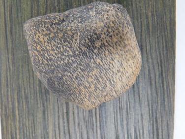 OOLITE ROCK STONE LAPIDARY SPECIMEN